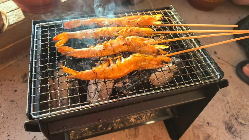 Limited-Time Special Price Modern Style Portable Grill Lightweight Iron BBQ for Camping Outdoor Designed with Charcoal Material