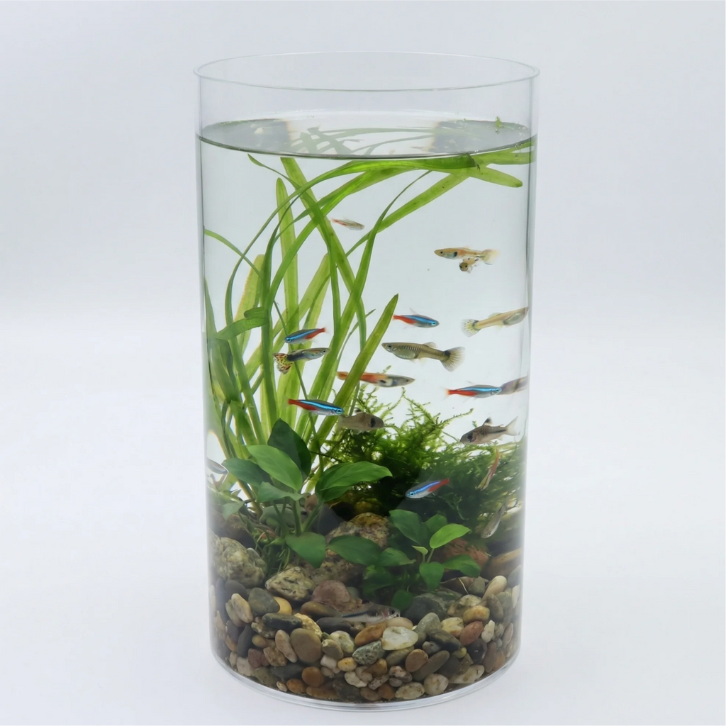 Acrylic hydroponic plant fish tank, high-definition and lightweight cylindrical fish tank, suitable for hydroponic aquatic plant