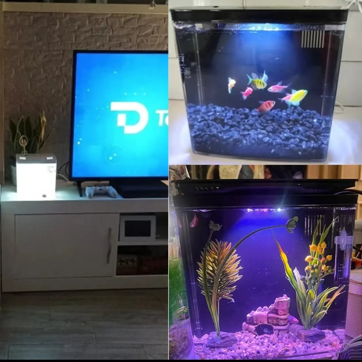 Fish Tank Living Room Small Mini Douyu Tank Household Tabletop Ecological Tank Self Circulating Back Filter Goldfish Tank