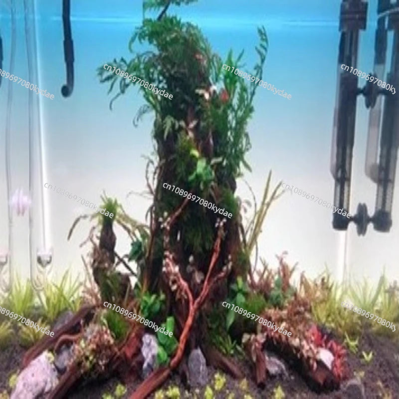 Fish Tank Background Board LED Aquarium Grass Tank White Light RGB Rainbow Gradient Acrylic Luminous Background Decoration
